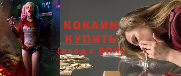 стаф Алексин