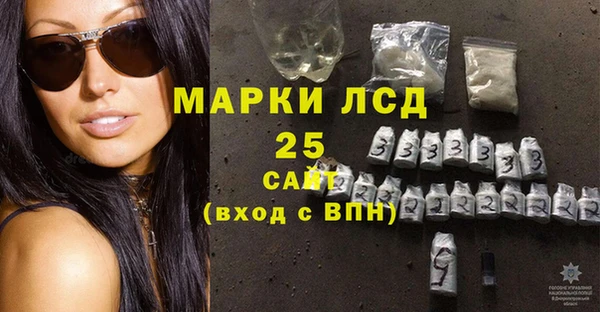 стаф Алексин